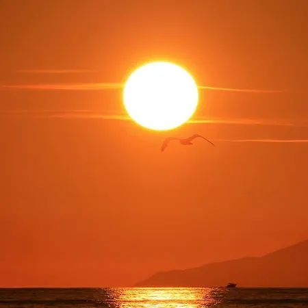 Il Guercino - Argonauti Vacanze Appartement *